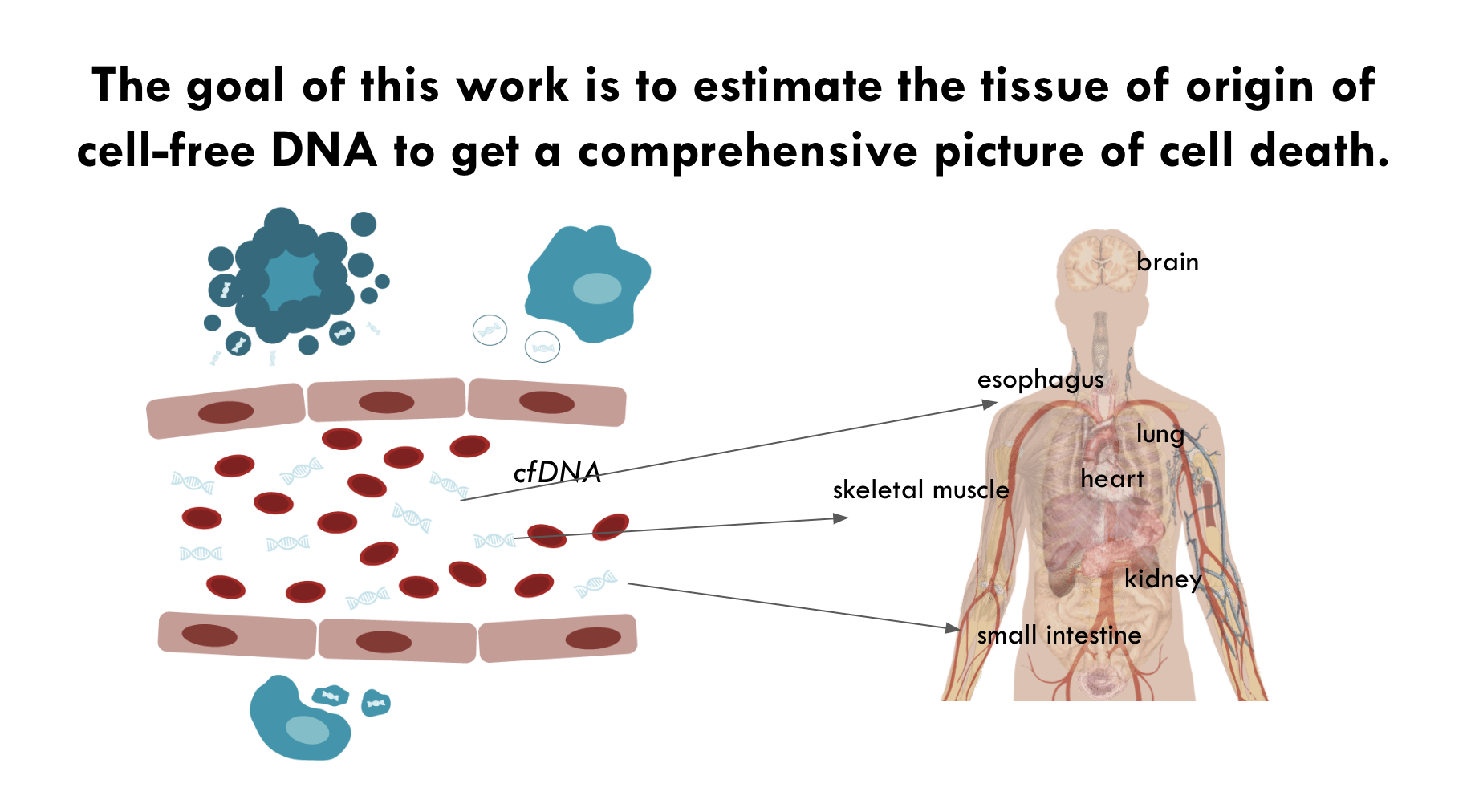 CFDNA